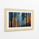 Naturaleza dorada - DIEGO D L | Cuadro decorativo de Canvas Lab