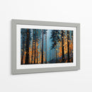 Naturaleza dorada - DIEGO D L | Cuadro decorativo de Canvas Lab