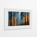 Naturaleza dorada - DIEGO D L | Cuadro decorativo de Canvas Lab
