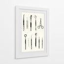 Instrumentos dentales en orden - DIEGO D L | Cuadro decorativo de Canvas Lab