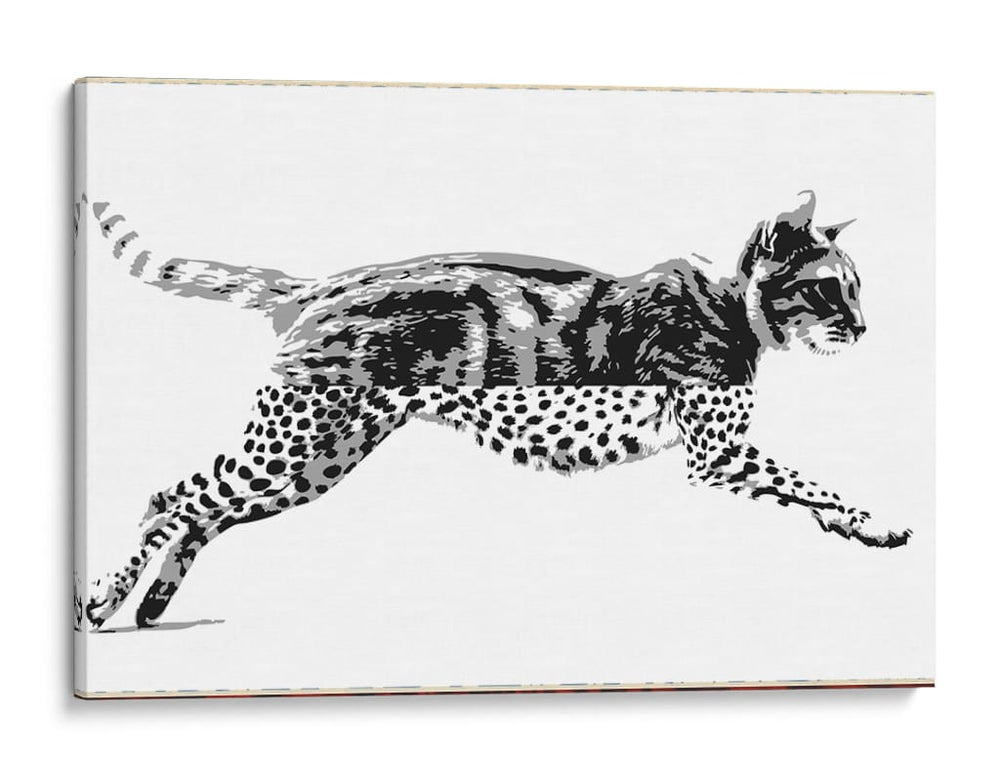 Mitad Gato, mitad pardo - Miauch | Cuadro decorativo de Canvas Lab