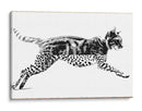 Mitad Gato, mitad pardo - Miauch | Cuadro decorativo de Canvas Lab