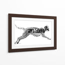 Mitad Gato, mitad pardo - Miauch | Cuadro decorativo de Canvas Lab