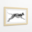 Mitad Gato, mitad pardo - Miauch | Cuadro decorativo de Canvas Lab