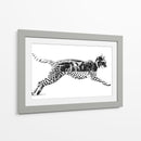 Mitad Gato, mitad pardo - Miauch | Cuadro decorativo de Canvas Lab