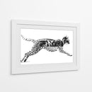 Mitad Gato, mitad pardo - Miauch | Cuadro decorativo de Canvas Lab