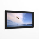 GAVIOTA SOLITARIA - Ángel Barraza Ramírez | Cuadro decorativo de Canvas Lab