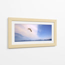 GAVIOTA SOLITARIA - Ángel Barraza Ramírez | Cuadro decorativo de Canvas Lab