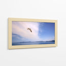 GAVIOTA SOLITARIA - Ángel Barraza Ramírez | Cuadro decorativo de Canvas Lab