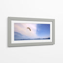 GAVIOTA SOLITARIA - Ángel Barraza Ramírez | Cuadro decorativo de Canvas Lab