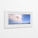 GAVIOTA SOLITARIA - Ángel Barraza Ramírez | Cuadro decorativo de Canvas Lab
