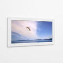 GAVIOTA SOLITARIA - Ángel Barraza Ramírez | Cuadro decorativo de Canvas Lab