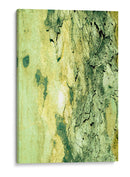 Fondo natural de cortezas 2 - FErB | Cuadro decorativo de Canvas Lab