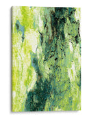 Verdes de cortezas - FErB | Cuadro decorativo de Canvas Lab