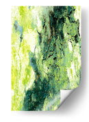 Verdes de cortezas - FErB | Cuadro decorativo de Canvas Lab