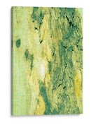 verdes amarillos de figuras de cortezas - FErB | Cuadro decorativo de Canvas Lab
