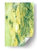 verdes amarillos de figuras de cortezas - FErB | Cuadro decorativo de Canvas Lab