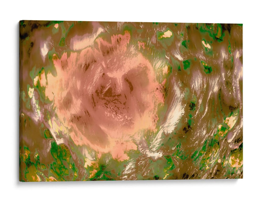 Rosa abstracta en el campo - FErB | Cuadro decorativo de Canvas Lab