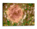 Rosa abstracta en el campo - FErB | Cuadro decorativo de Canvas Lab