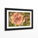 Rosa abstracta en el campo - FErB | Cuadro decorativo de Canvas Lab