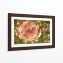 Rosa abstracta en el campo - FErB | Cuadro decorativo de Canvas Lab