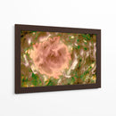 Rosa abstracta en el campo - FErB | Cuadro decorativo de Canvas Lab