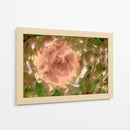 Rosa abstracta en el campo - FErB | Cuadro decorativo de Canvas Lab