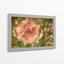 Rosa abstracta en el campo - FErB | Cuadro decorativo de Canvas Lab