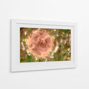 Rosa abstracta en el campo - FErB | Cuadro decorativo de Canvas Lab