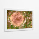Rosa abstracta en el campo - FErB | Cuadro decorativo de Canvas Lab
