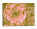 Pulso carmesi en el campo - FErB | Cuadro decorativo de Canvas Lab
