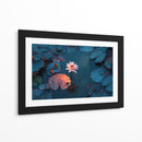 Belleza acuática  - DIEGO D L | Cuadro decorativo de Canvas Lab