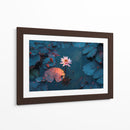 Belleza acuática  - DIEGO D L | Cuadro decorativo de Canvas Lab