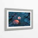 Belleza acuática  - DIEGO D L | Cuadro decorativo de Canvas Lab