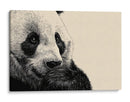 Un tierno panda - DIEGO D L | Cuadro decorativo de Canvas Lab