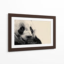 Un tierno panda - DIEGO D L | Cuadro decorativo de Canvas Lab