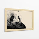 Un tierno panda - DIEGO D L | Cuadro decorativo de Canvas Lab