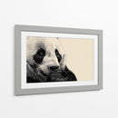 Un tierno panda - DIEGO D L | Cuadro decorativo de Canvas Lab