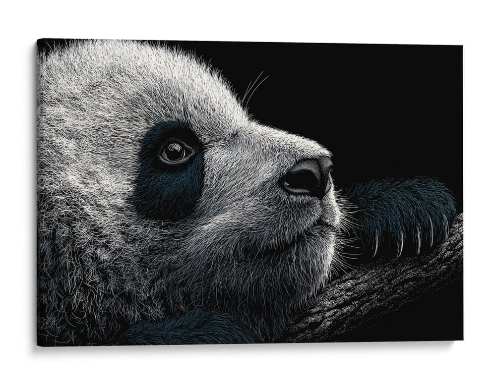 Cara de panda - DIEGO D L | Cuadro decorativo de Canvas Lab
