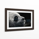 Cara de panda - DIEGO D L | Cuadro decorativo de Canvas Lab