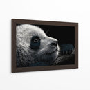 Cara de panda - DIEGO D L | Cuadro decorativo de Canvas Lab