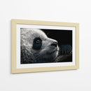 Cara de panda - DIEGO D L | Cuadro decorativo de Canvas Lab