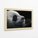 Cara de panda - DIEGO D L | Cuadro decorativo de Canvas Lab