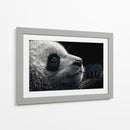 Cara de panda - DIEGO D L | Cuadro decorativo de Canvas Lab