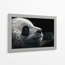 Cara de panda - DIEGO D L | Cuadro decorativo de Canvas Lab