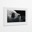 Cara de panda - DIEGO D L | Cuadro decorativo de Canvas Lab