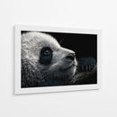 Cara de panda - DIEGO D L | Cuadro decorativo de Canvas Lab