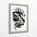 Cara de gato en puntos - DIEGO D L | Cuadro decorativo de Canvas Lab