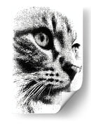 Cara de gato en puntos - DIEGO D L | Cuadro decorativo de Canvas Lab