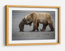 Abrazo de mamá osa - Renee Doyle | Cuadro decorativo de Canvas Lab